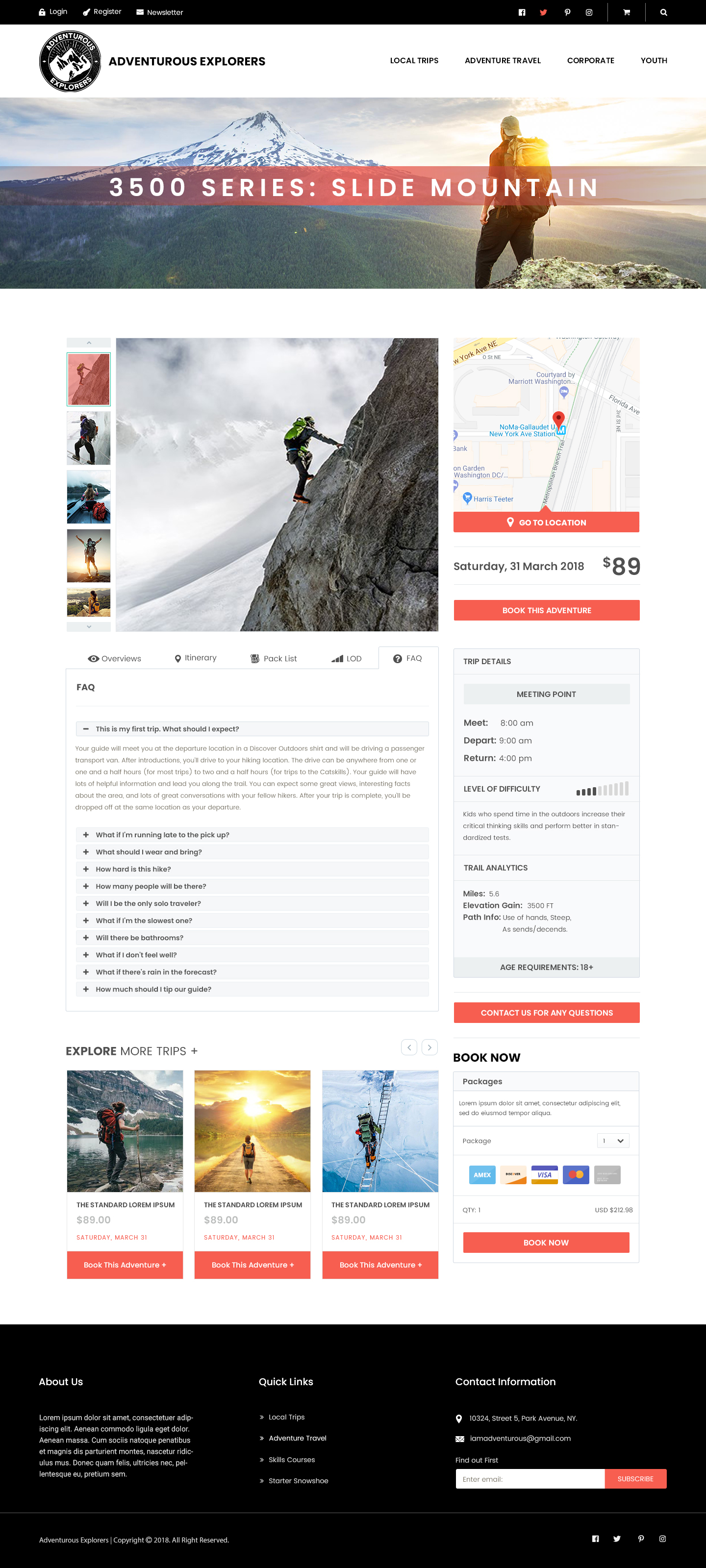 Web Application Developer